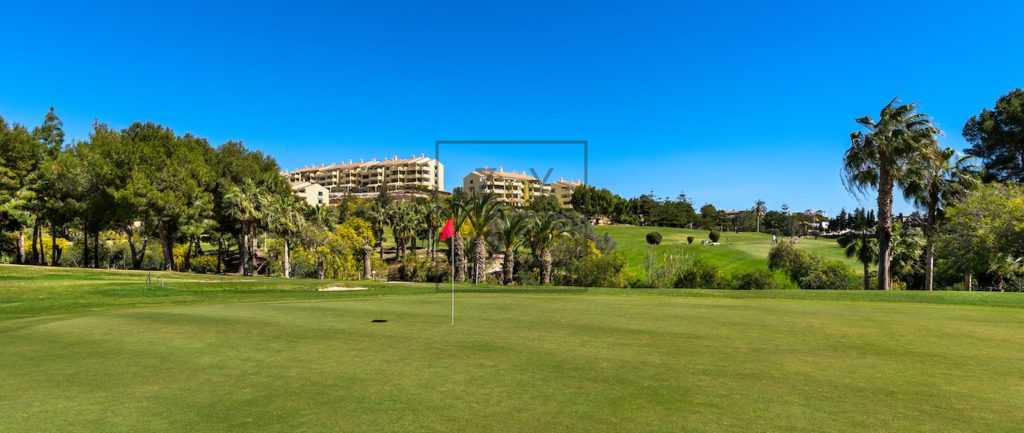 campoamor-golf-orihuela-costa